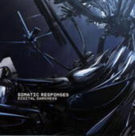 Somatic Responses – Digital Darkness