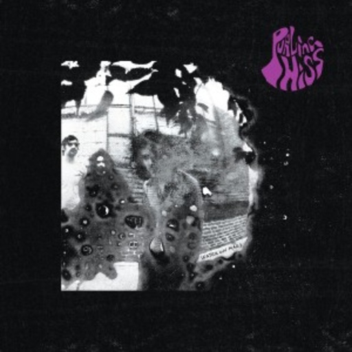Purling Hiss – Water On Mars