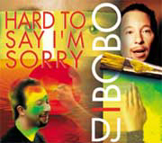 DJ BoBo – Hard To Say I'm Sorry