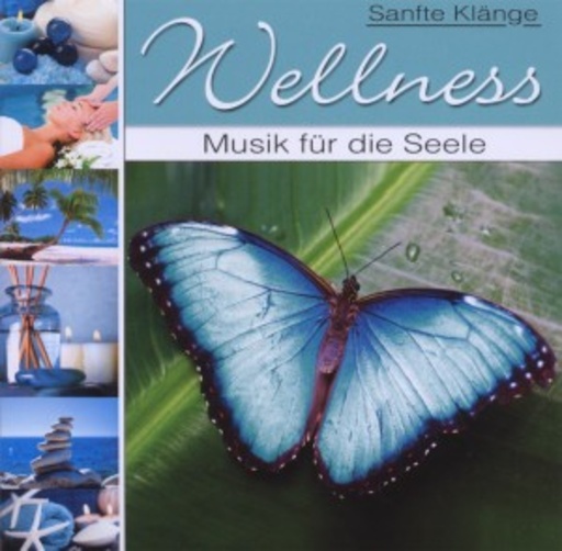 Diverse – Wellness - Musik für die Seele