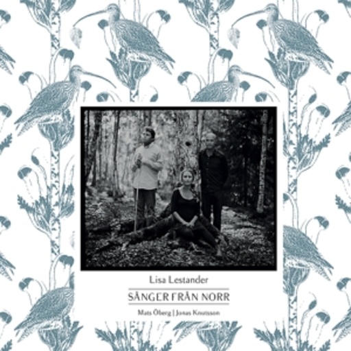 Sanger Fran Norr – Voice Of Kraja