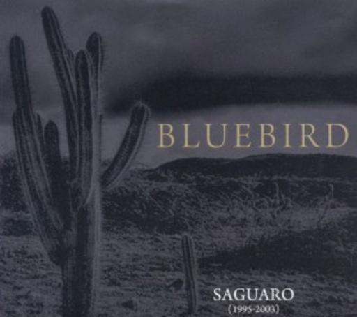 Bluebird – Saguaro (1995-2003)