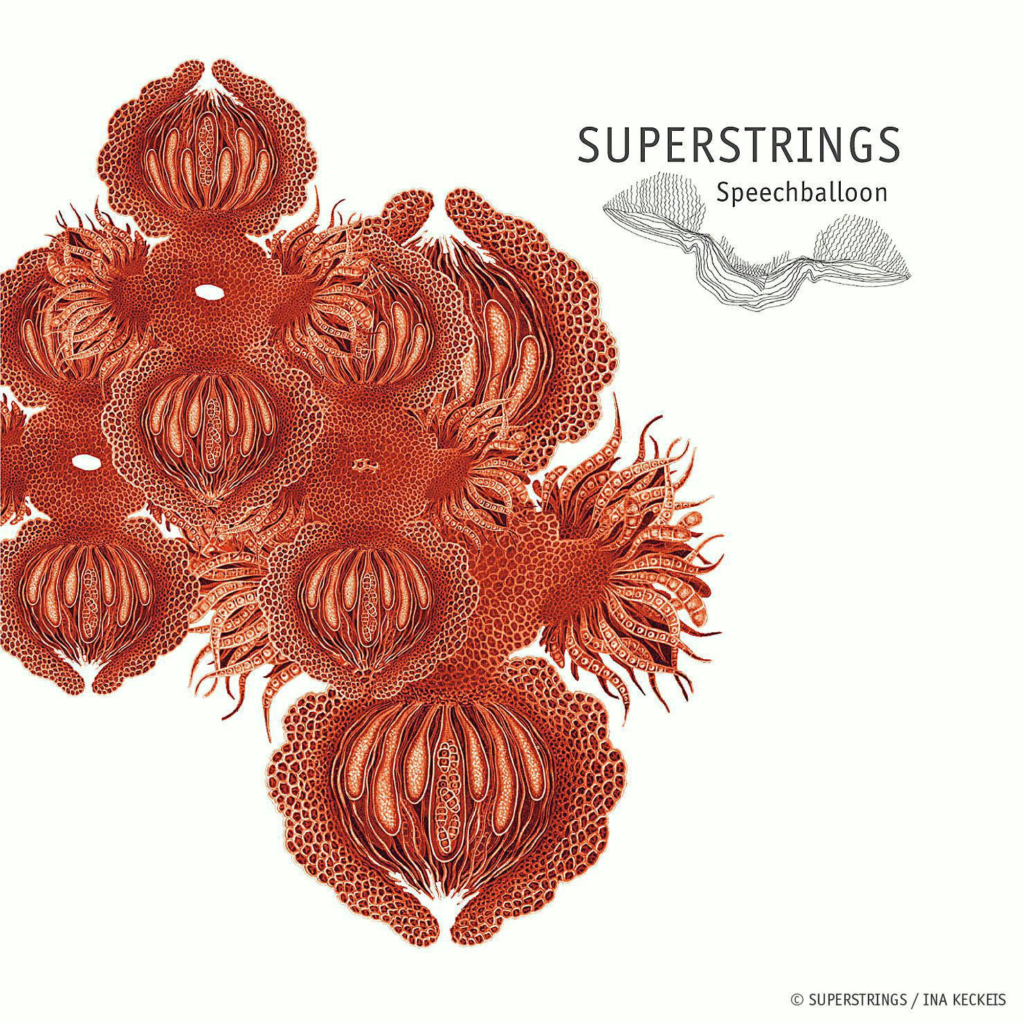 Superstrings – Speechbaloon