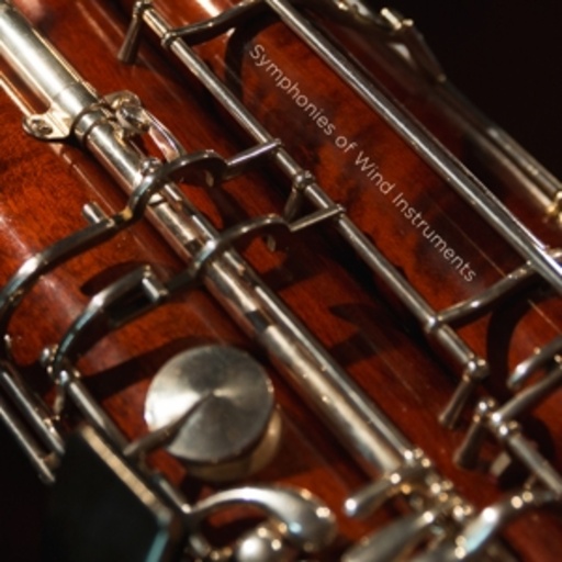 Ingar Bergby/Royal Norwegian Navy Band – Symphonies Of Wind Instruments