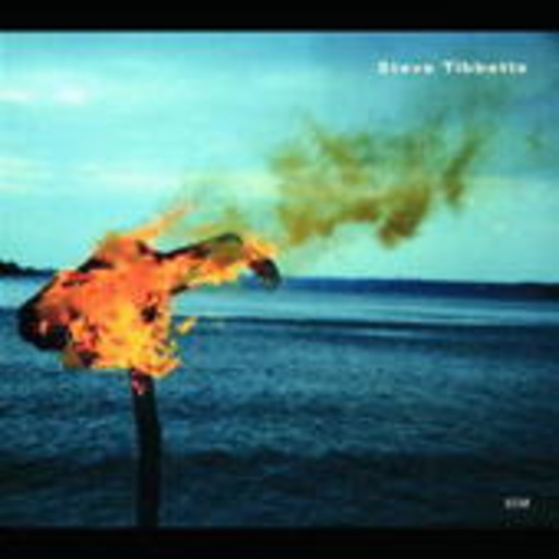 Steve Tibbets – A Man About A Horse