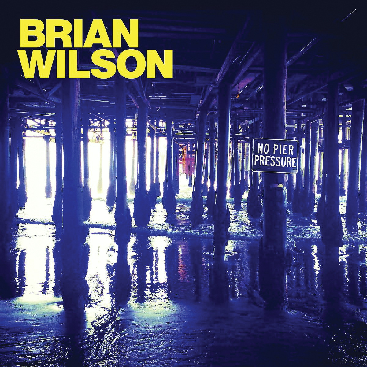 Brian Wilson – No Pier Pressure