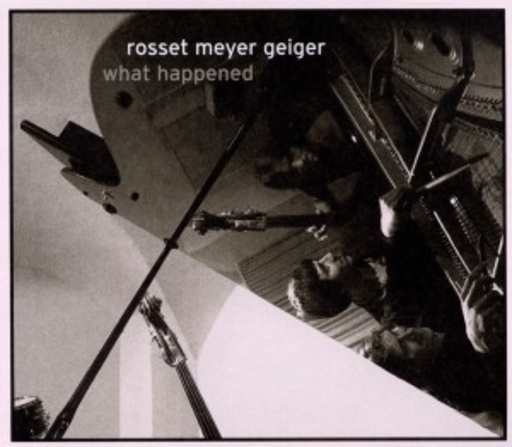Rosset/Meyer/Geiger – What Happened
