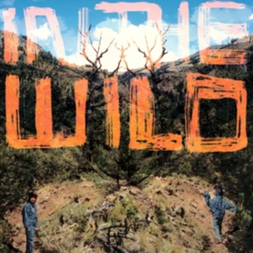 FaltyDL – In The Wild