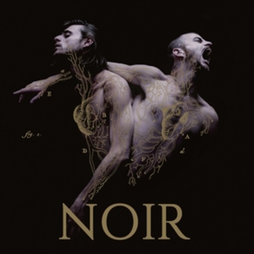Heymoonshaker – Noir