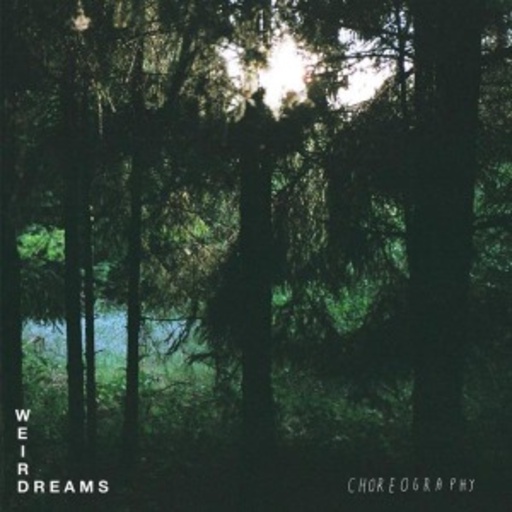 Weird Dreams – Choreography