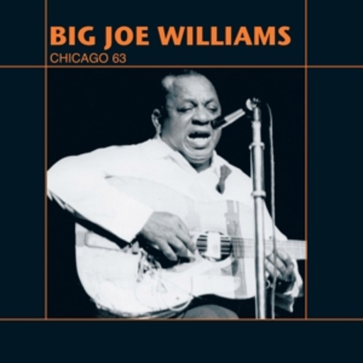 Big Joe Williams – Live Chicago '63