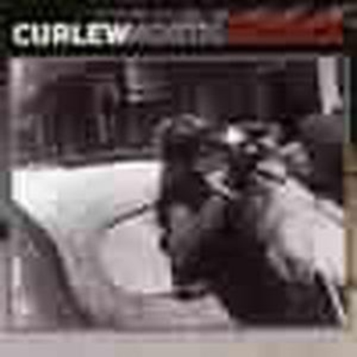 Curlew – North America