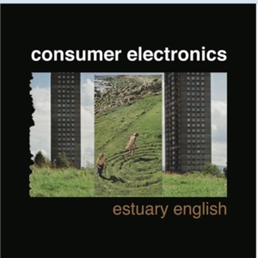 Consumer Electrics – Estuary English