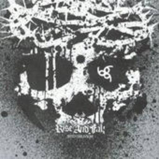 Rise And Fall – Into Oblivion