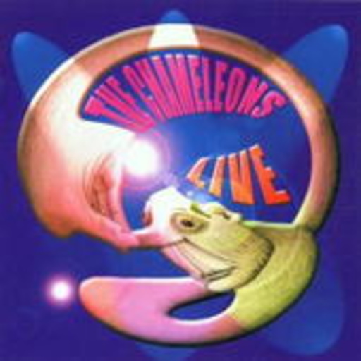 The Chameleons – Live