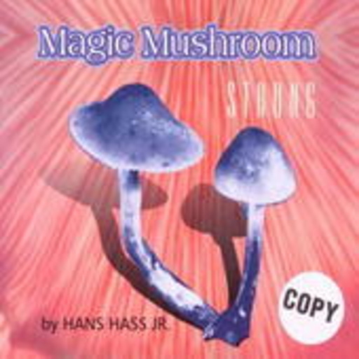 Magic Mushroom: Strong