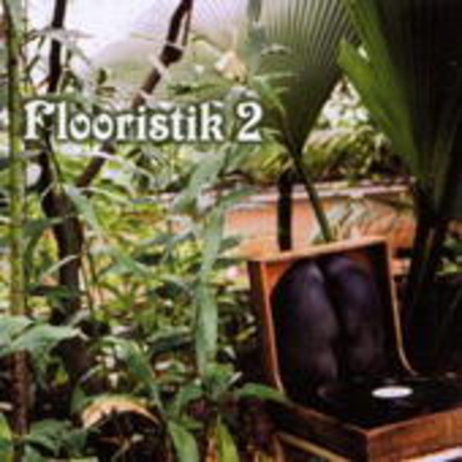 Flooristik 2