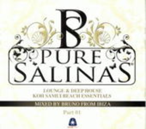 Diverse – Pure Salinas Vol. 1 (With Bruno From Ibiza)