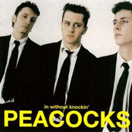 The Peacocks – In Without Knockin'