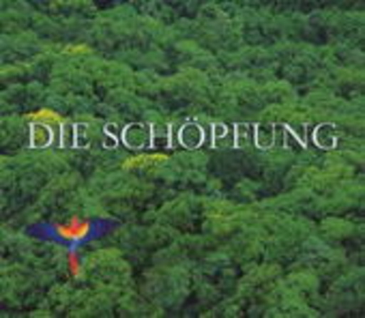 Bruno Weil – Die Schöpfung