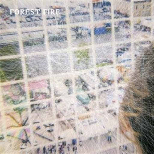 Forest Fire – Staring At The X