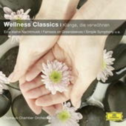 Diverse – Wellness Classics - Klänge, die verwöhnen