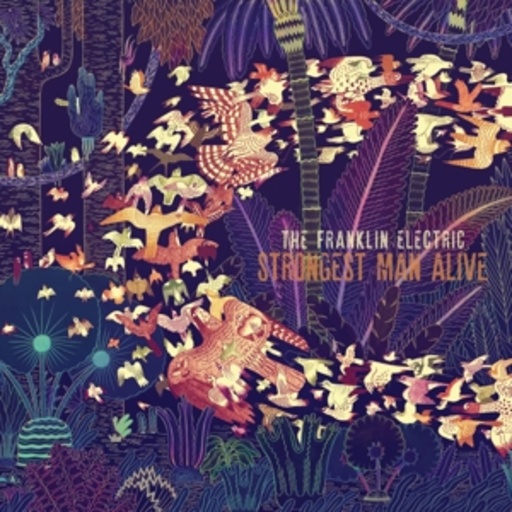 The Franklin Electric – This Is How I Let You Down