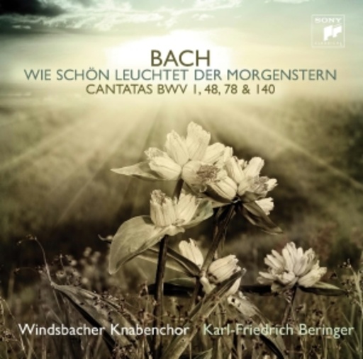 Windsbacher Knabenchor – Wie schön leuchtet der Morgenstern
