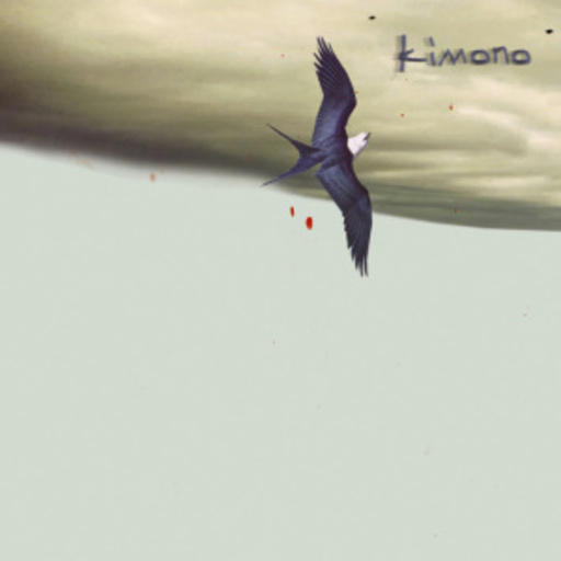 Kimono – Easy Music For Difficult People