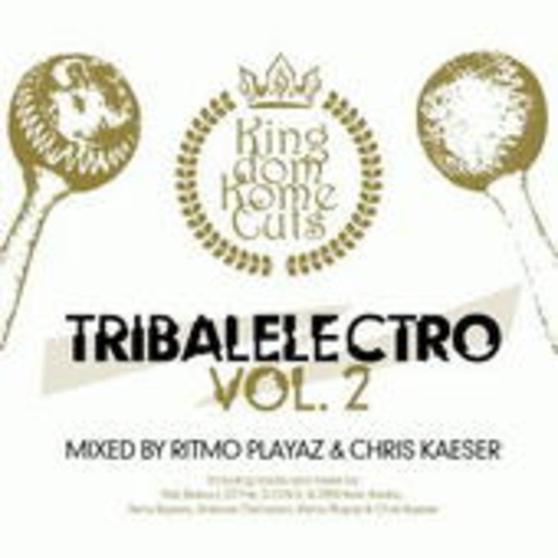 Diverse – Tribalelectro Vol. 2 - Mixed by Ritmo Playaz & Chris Kaeser