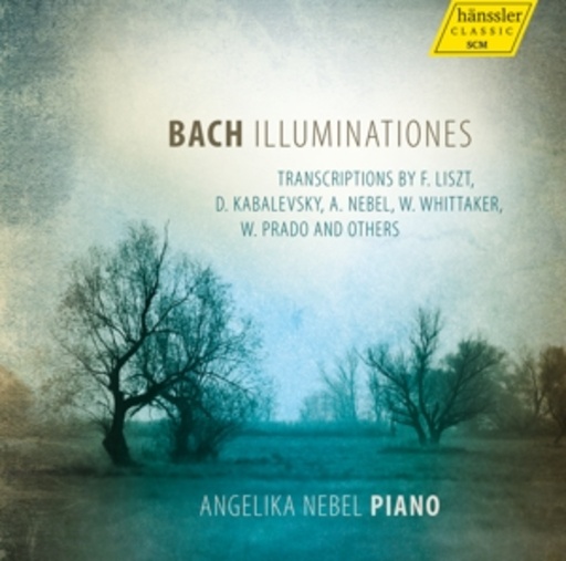Angelika Nebel – Illuminationes