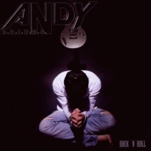 Andy Brings – Rock'n'Roll