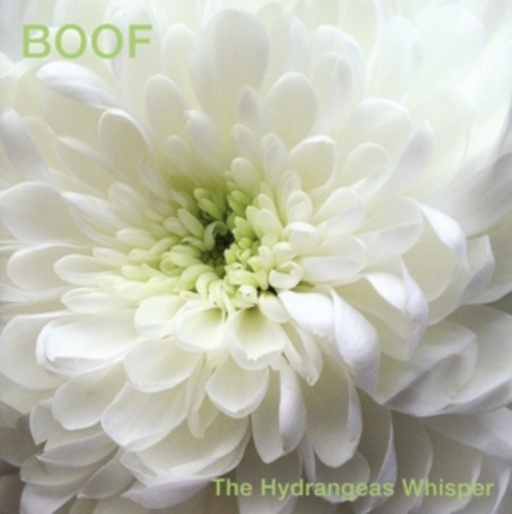 Boof – The Hydrangeas Whisper