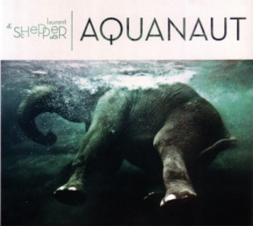 Laurent De Schepper Trio – Aquanaut
