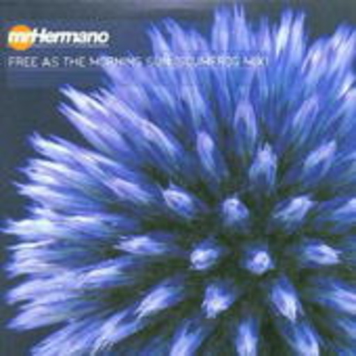 Mr. Hermano – Free As The Morning Sun (The Scumfrog Remix)