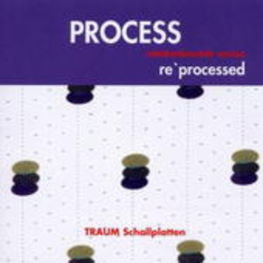 Diverse – Process - Re'Processed