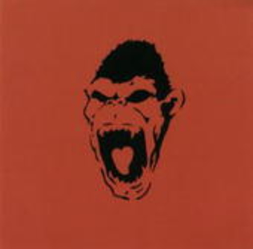 Acid Ape – Flesh Spa