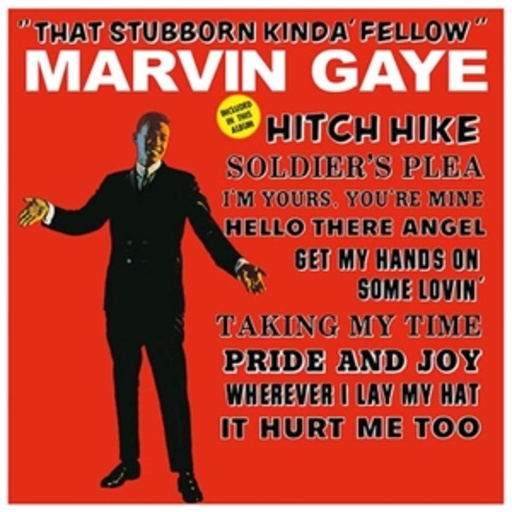 Marvin Gaye – That Stubbon Kinda' Fellow