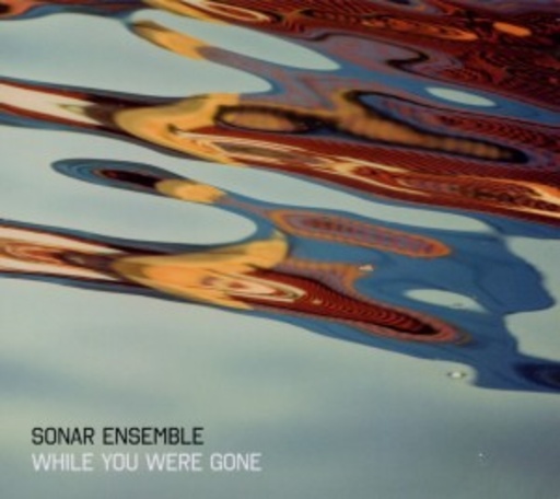 Sonar Ensemble – While You Were Gone