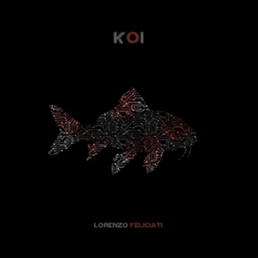 Lorenzo Feliciati – Koi