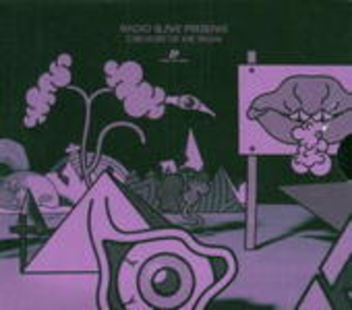Diverse – Creature Of The Night (Radio Slave)
