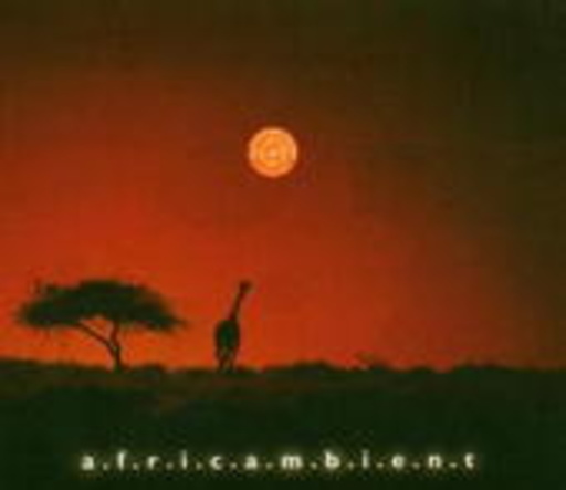 Cornelius Claudio Kreusch – a.f.r.i.c.a.m.b.i.e.n.t.