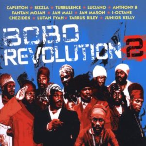 Bobo Revolution Vol.2