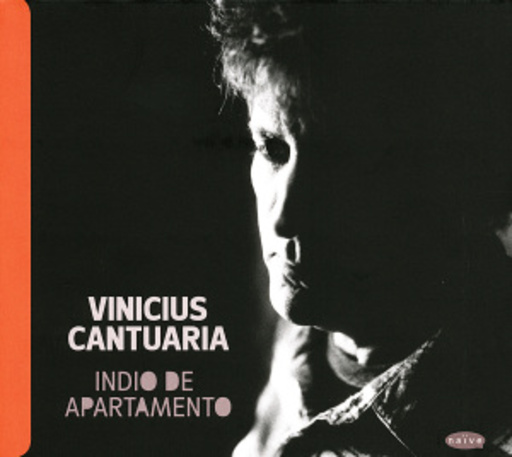 Vinicius Cantuaria – Indio De Apartamento