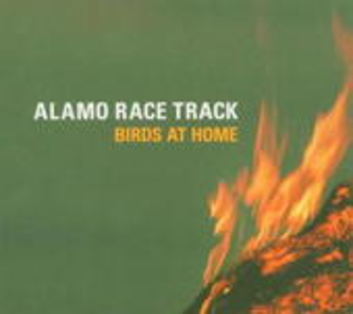 Alamo Race Track – Birds At Home