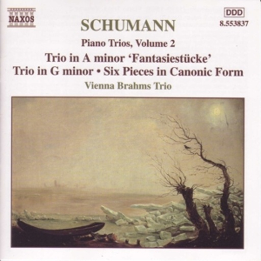 Vienna Brahms Trio – Piano Trios Vol. 2; Trio In A Minor Fantaisiestücke/Trio G In Minor ...