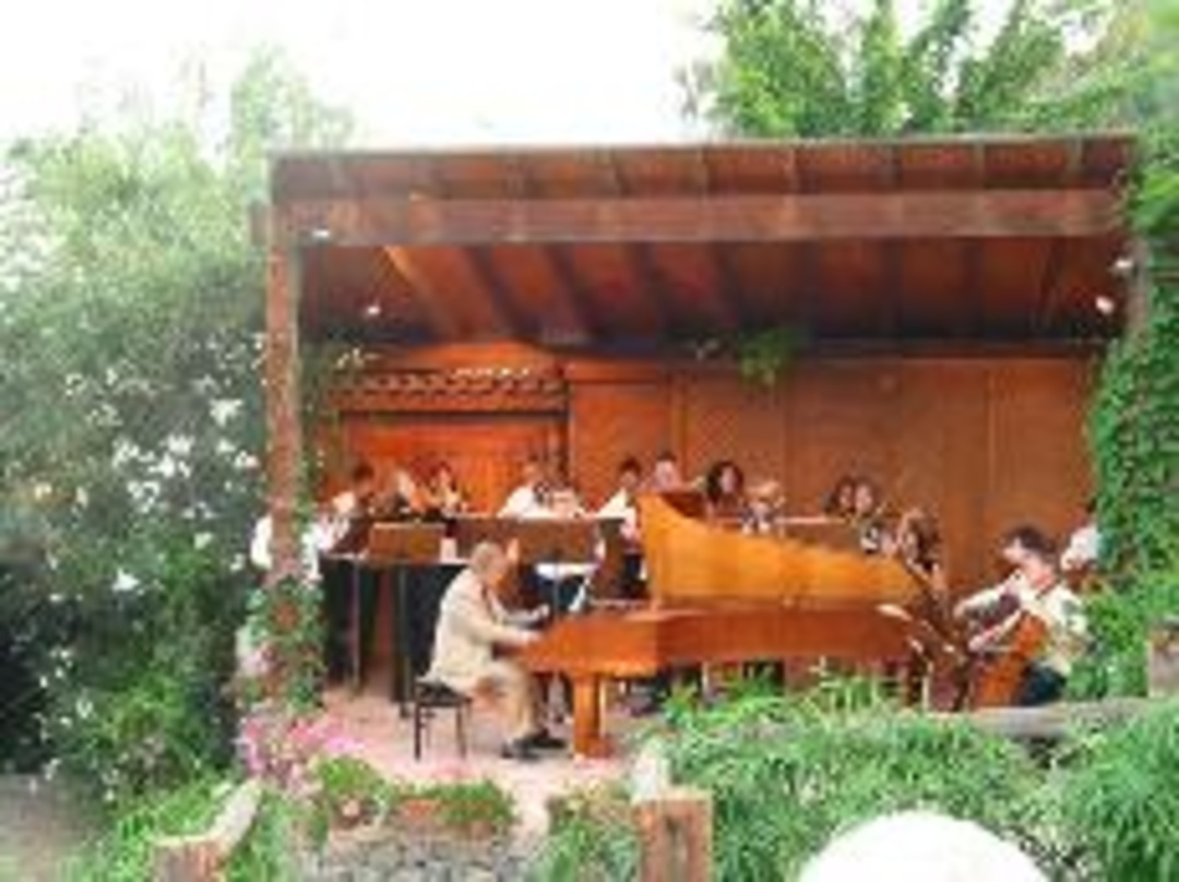 Zeigte Klassik auf Gran Canaria: Justus Frantz