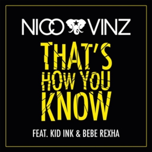 Nico & Vinz feat. Kid Ink & Bebe Rexha – That's How You Know