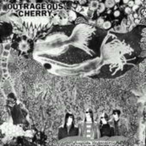 Outrageous Cherry – Universal Malcontents