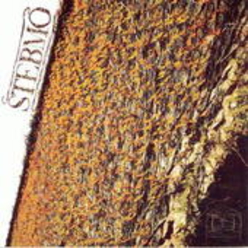 Stebmo – Stebmo